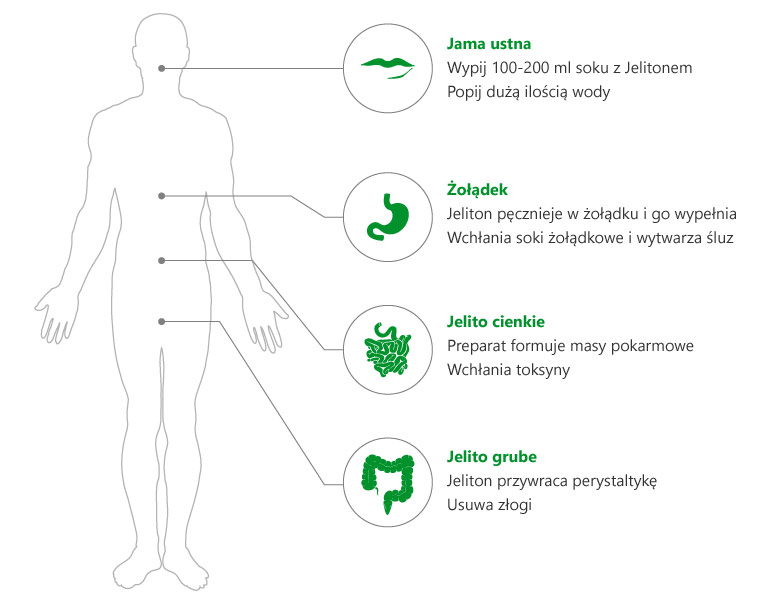 Działanie Jelitonu - Diagram